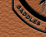 Saddles